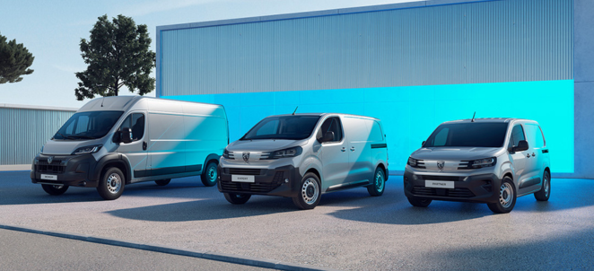 PEUGEOT DIAS PROFESIONAL